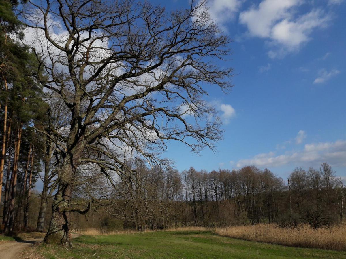 Mirabellenhof-Fewo Mit Terrasse Biesenthal Exteriör bild